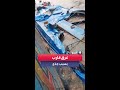 مقتل وفقدان 9 بعد غرق قارب يحمل معلمين في نهر الأمازون مقتل وفقدان 9 بعد غرق قارب يحمل معلمين في نهر الأمازون