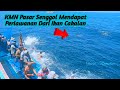 KMN Pasar Senggol Mendapatkan Perlawanan Dari Ikan Cakalan || 21 Agustus 2021