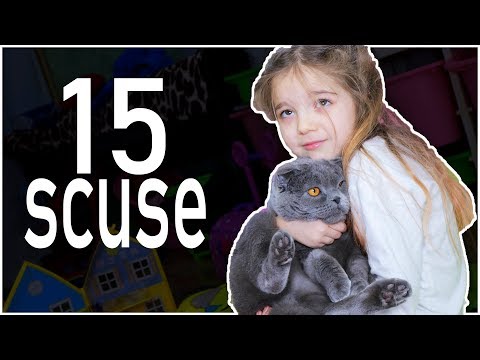 15 SCUSE PER