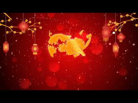 Selamat Tahun Baru China 2019 - Gong Xi Fa Cai 