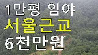 6천만원 1만평 서울근교싼임야 시세11~39억 청정숲 남향 건축가 자연인전원생활 숲야영장+캠핑고기+림순화林順化+힐링숲6차산업 약용재배 땅과함께(새희망을)경매임야 공매임야 나도땅주인