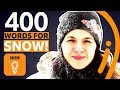 Understanding the Richness of the Scots Language