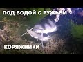 ПОД ВОДОЙ С РУЖЬЕМ. КОРЯЖНИКИ. Подводная охота на сома