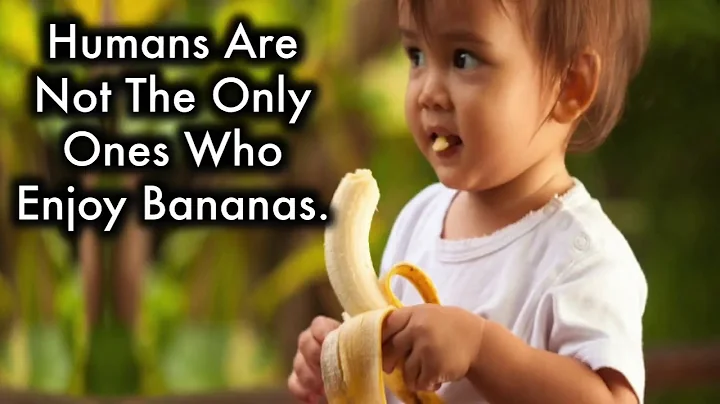 You Will Never Throw Away Banana Peels After Watching This