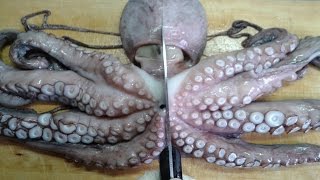 МАСТЕРА 80 УРОВНЯ ||Супер разделка осьминога и кальмара! МАСТЕРА 80 УРОВНЯ ||Супер разделка осьминога и кальмара!