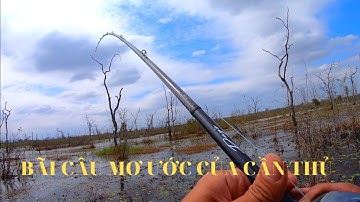 CÙNG HVA FROG CHINH PHỤC CÁ LÓC VIỆT NAM P17 câu cá lóc Snakehead fishing ✅
