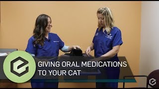 Giving Oral Medications to Your Cat