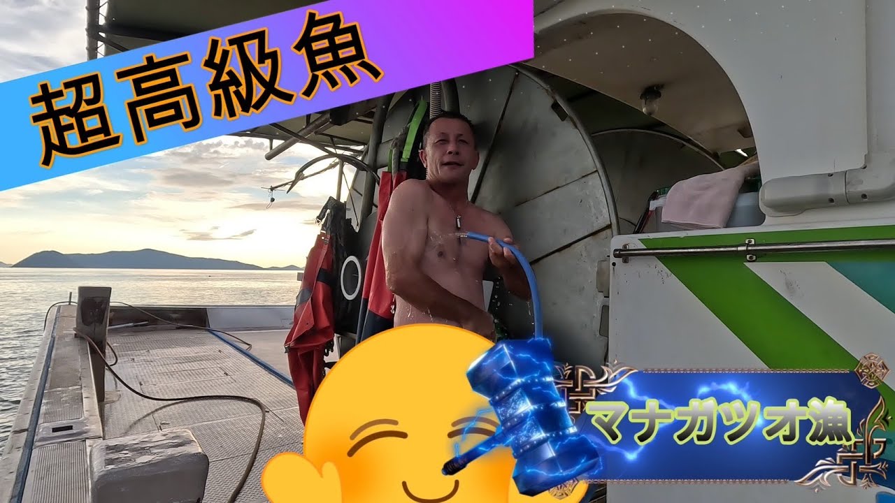 【マナガツオ漁】塩飽の大バッシャマナガツオ漁が最盛期をむかえてきました！