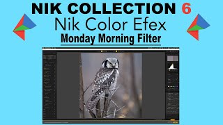 NIK COLOR EFEX (Monday Morning Filter) NIK COLLECTION 6