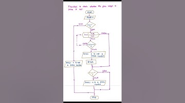 Flowchart  || Prime or not.  #shorts #shortvideo #viral