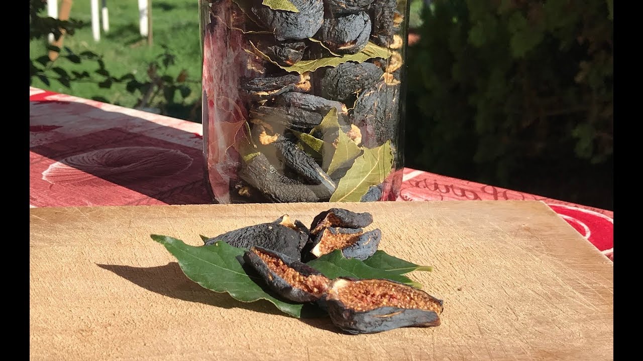 Come fare i Fichi Secchi Gratis Fatti in Casa (Senza ...