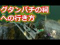 ゼルダの伝説 グタンバチの祠への行き方 ティアキン ゼルダの伝説 グタンバチの祠への行き方 ティアキン