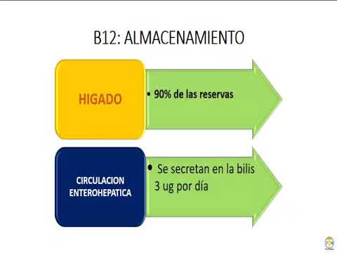 Hematología - 5  Anemia Ferropenica Terapia Sintomatica