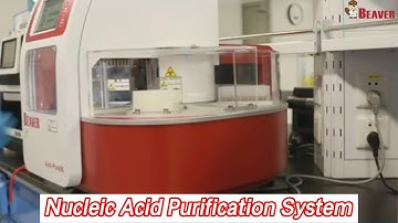 High Throughput Automatic Nucleic Acid Purification System 96 Channel For DNA / RNA