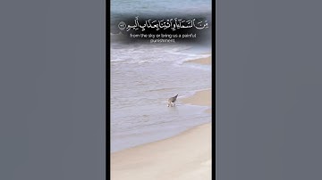 وما كان الله ليعذبهم وأنت فيهم ||#عبدالرحمن_الزواوي - سورة الأنفال #تلاوات #قران