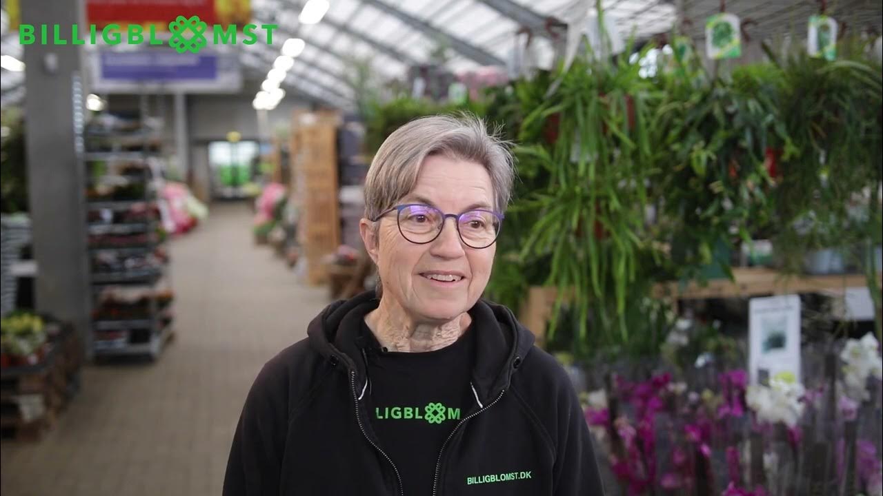 Bliv gartner i Billigblomst YouTube