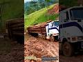 Extreme Mud Struggle | Logging Truck Hauling Timber