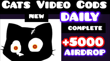 How To EARN ONLINE Cats video | codes  Token Claim Teligram bot  | Sakindermalik