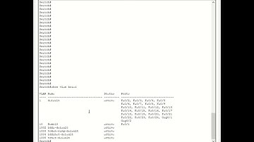 How to remove VLAN assignment | How to remove port