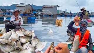 Unique Fishing with Oyster Bait, Sea Bream Can't Stop Eating