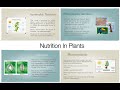 Nutrition in plants  photosynthesis  lets learn with nehal