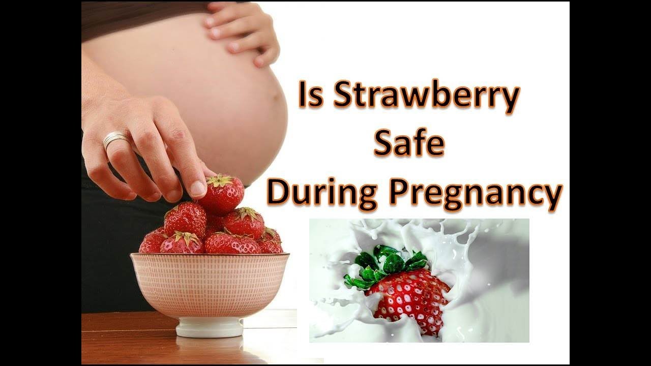 Is Strawberry Safe During Pregnancy Adverse Effect To LOOK OUT YouTube
