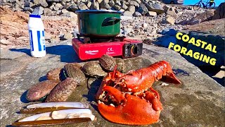 COASTAL FORAGING  Big Lobster , Razor Clams, Abalone , Crabs & Flatfish  Beach COOKING !