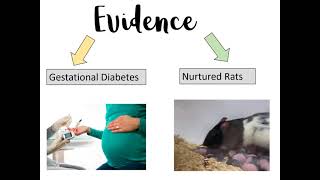 Topic 8: Epigenetics and Gene Expression (AQA A-Level Biology)