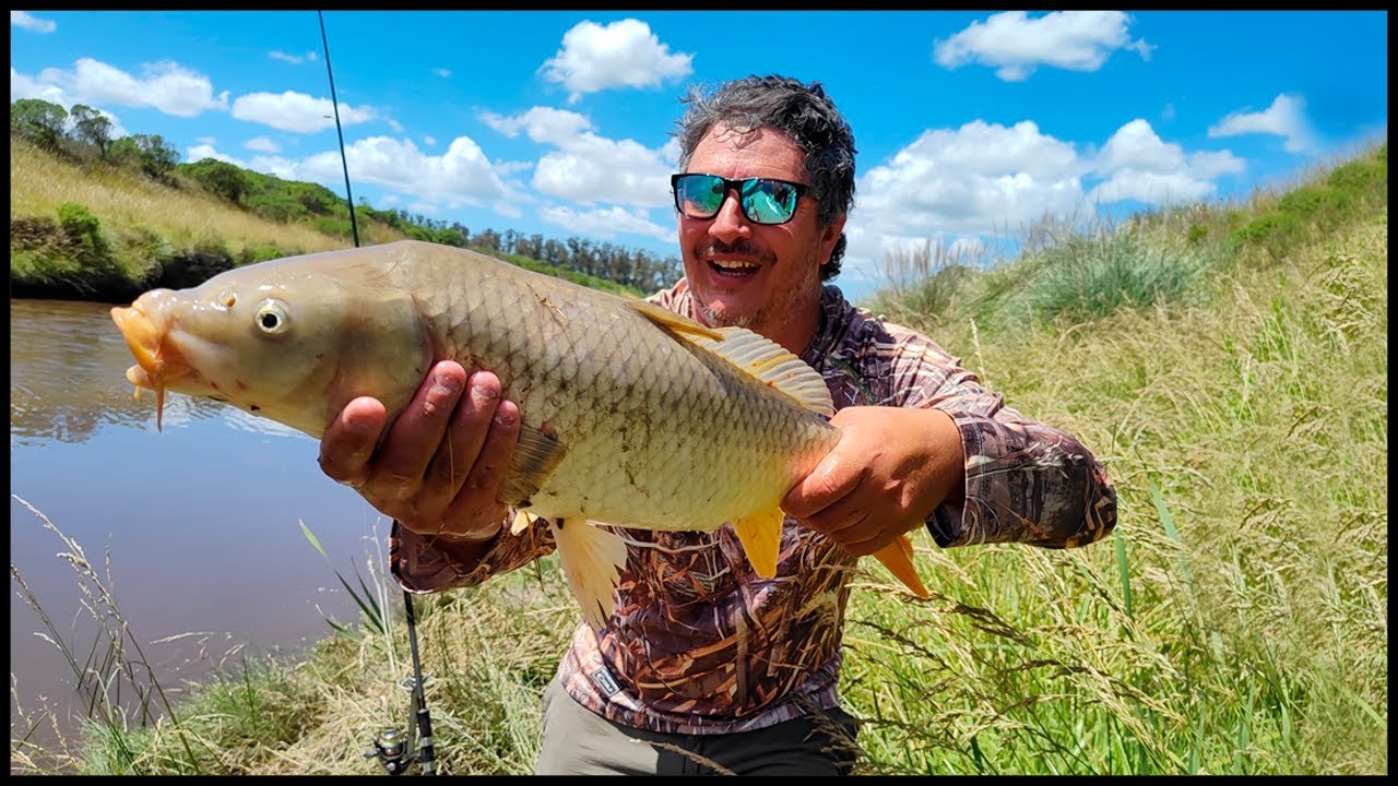 PESCA DE CARPAS GIGANTES - MIRA LA LLEVADA QUE PEGA