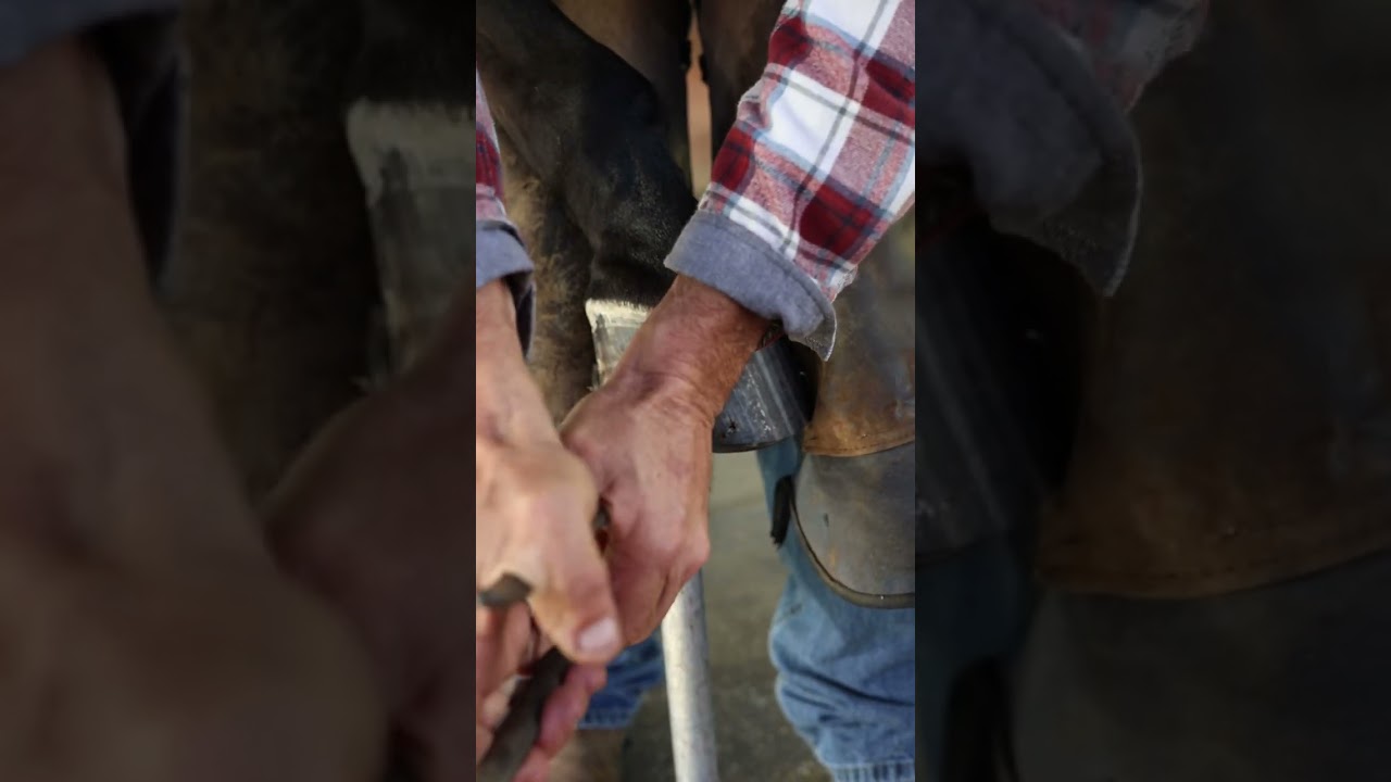 How to Clinch a Horseshoe Nails