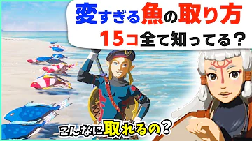 攻略 ボコブリンをもてあそぶ禁断の小技20コ ゼルダの伝説 ブレスオブザワイルド Mp3 攻略 ボコブリンをもてあそぶ禁断の小技20コ ゼルダの伝説 ブレスオブザワイルド Mp3