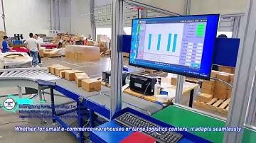 DWS Dynamic Sorting Machine for Logistics Sorting Line#DWScheckweigher