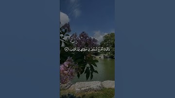 ما تيسر من سورة الشعراء بصوت #ياسر_الدوسري #القرآن_الكريم #سورة_الشعراء #yasseraldossary #quran #fyp