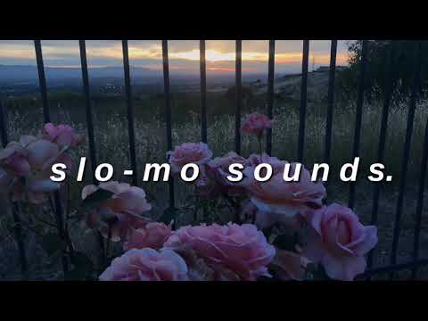 F L A M I N H O T C H E E T O S Slowed Down