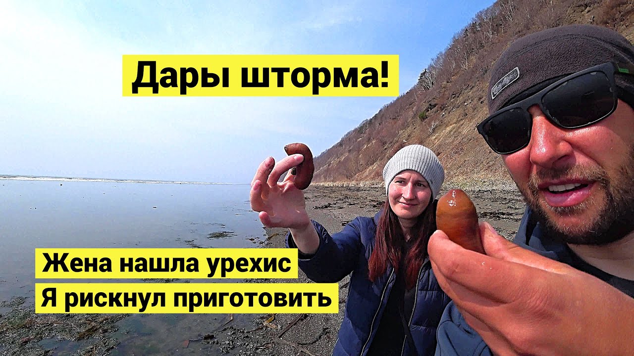 Дары шторма! Впервые попробовал урехис! Tried urehis for the first time! (Russian subs)