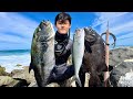 Spearing big fish and rare species from shore  hawaii spearfishing for omilu knifejaw and more