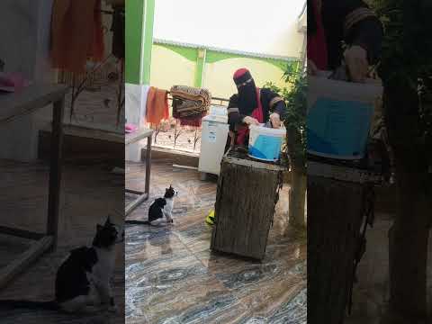 أبهرى حماتك بشطارتك
