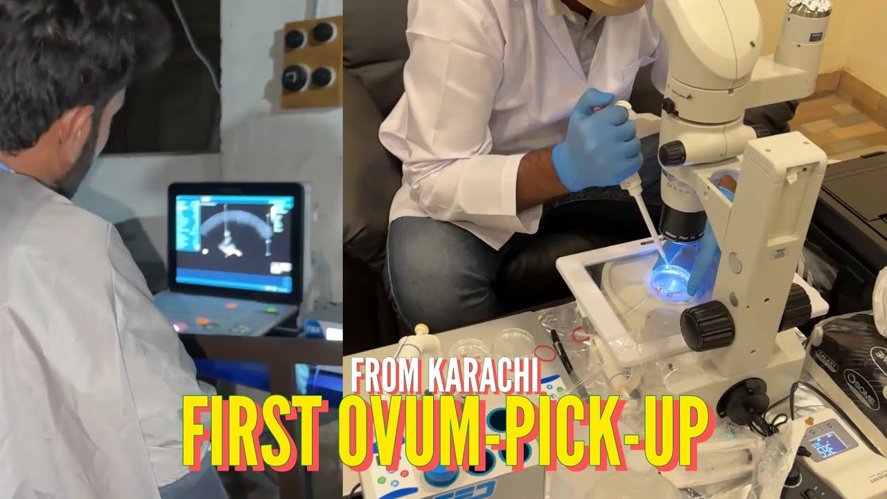 Первая операция по сбору спермы завершена 👍🏻 в Карачи || Vitagene Farms || 18+ || 11 декабря 2025 г.