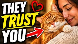 7 Things Cats Do Around the Person They Trust Most 😻 Are You Their Favorite