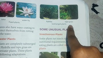 Class-4 | Learning Science Lesson-8 Adaptations in Plants | Part-3 | Types of Aquatic Plants