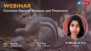 Common Squirrel Diseases and Treatment
