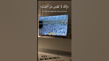 إنك لا تهدي من احببت والله يهدي من يشاء |قرآن كريم 🌹💚 هدوء وراحة