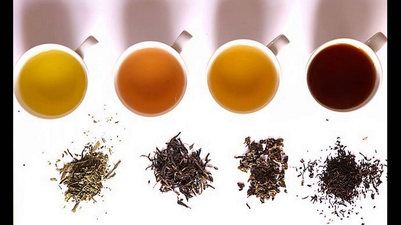 Home Remedy Black Tea & Green Tea Helps To Repair Damaged Hair How TO Use