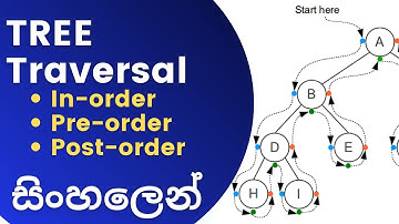 Tree Traversal | Pre Order traversal | In Order traversal | Post Order traversal | Sinhala