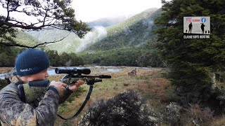 Unforgettable Deer Hunting Expedition: Stag Success & 300m Precision Shot!