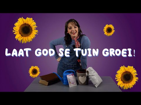 Video: Tuisgemaakte tuinsaaier – hoe om 'n saaier van nuuts af te maak