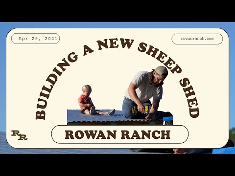 Building A New Sheep Shed