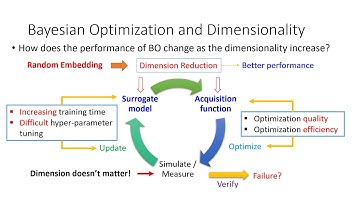 video presentation_Siyue Wang
