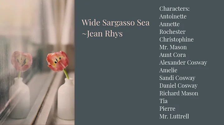 Wide Sargasso Sea by Jean Rhys (Summary & Analysis of the novel) - DayDayNews