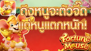 สล็อตหนู หนูPG สล็อตpg | Fortune mouse จ่ายง่าย ไม่พักกันเลย !!